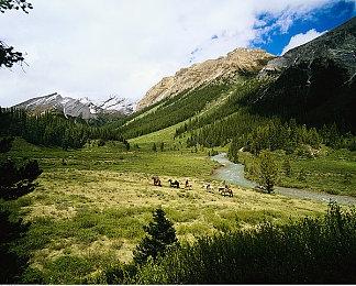 《蜡笔小新 我与博士的暑假》PS4版延期至今冬发售